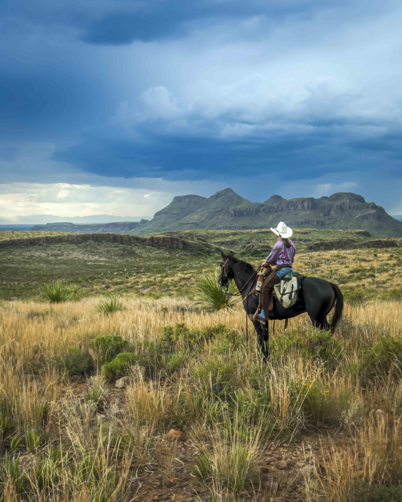 Person on a horse in front of a vast mountain landscape