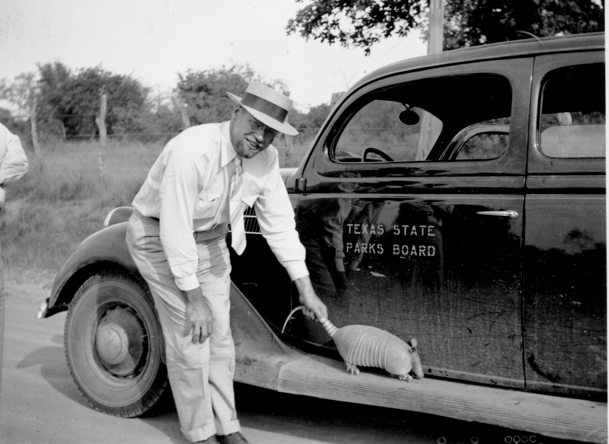 man bending down, holding an armadillo's tail in front of a Texas State Parks Board truck